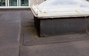disadvantages of Bleasdale flat roofs